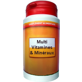 MULTIVITAMINES ET MIN�RAUX 90 G�LULES DOS�ES A 422mg