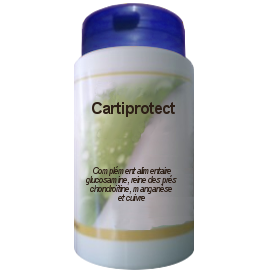300 GLULES CARTIPROTECT DOSES A 543mg