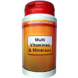 MULTIVITAMINES ET MINRAUX 90 GLULES DOSES A 422mg
