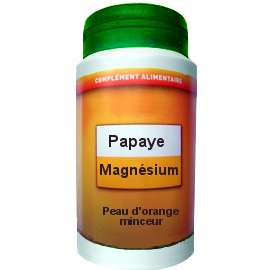 PAPAYE MAGNÉSIUM 100 GÉLULES DOSÉES A 375mg