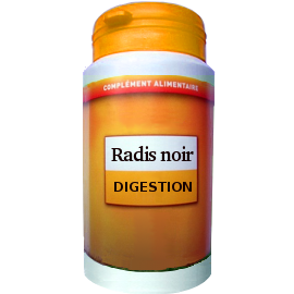 RADIS NOIR 100 GÉLULES DOSÉES A 300mg