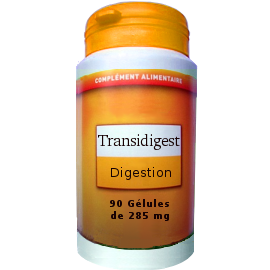 90 GÉLULES TRANSIDIGEST DOSÉES A 285mg